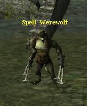 Spell Werewolf